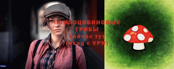бошки Надым