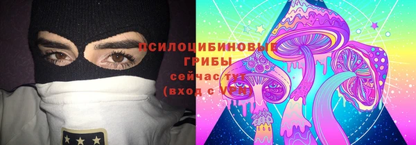 бошки Надым